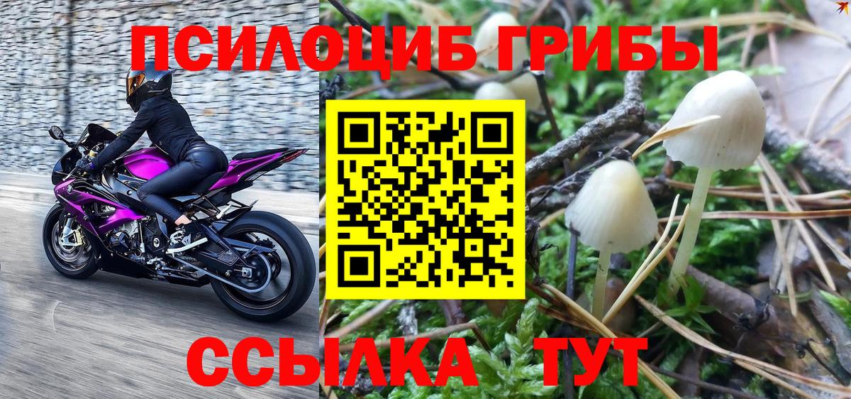 Галлюциногенные грибы мицелий Новороссийск
