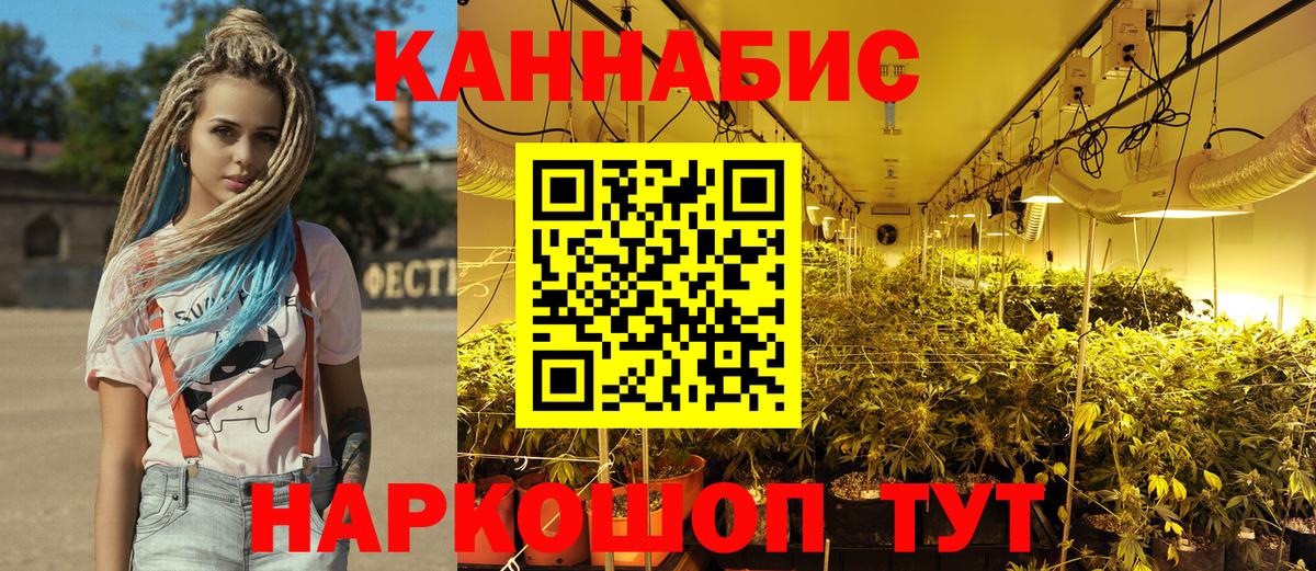 Бошки марихуана White Widow Новороссийск